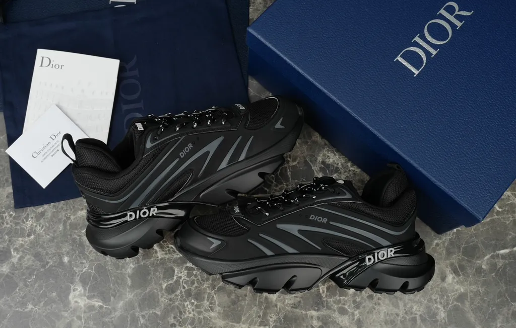 Dior Shoe 